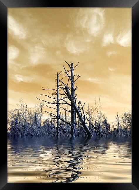 Death of The Trees Framed Print by Mike Gorton
