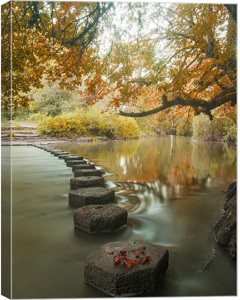 Stepping stones 1 Canvas Print by Clive Eariss
