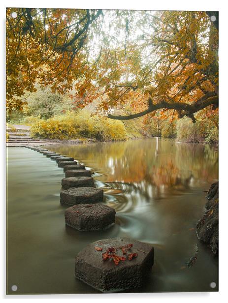 Stepping stones 1 Acrylic by Clive Eariss