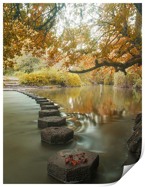 Stepping stones 1 Print by Clive Eariss