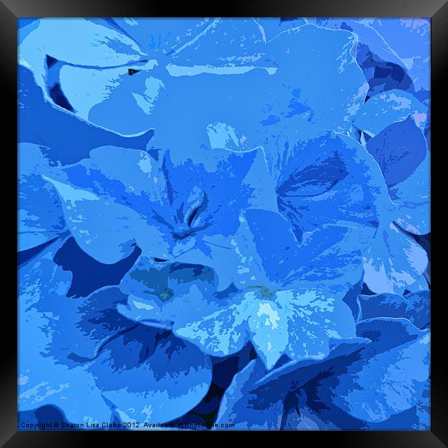 Hydrangea Framed Print by Sharon Lisa Clarke