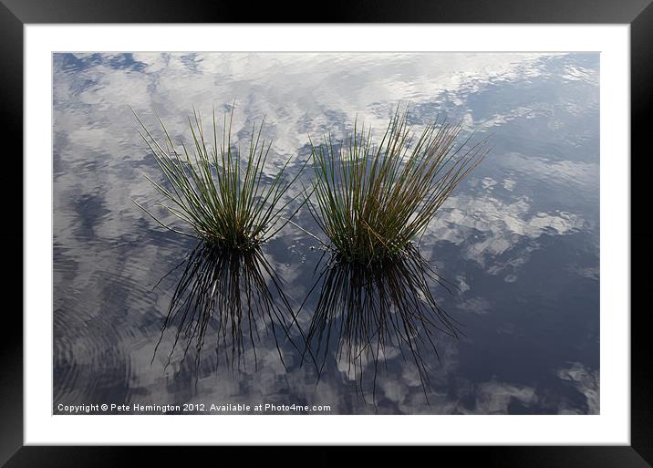Reflected Reeds Framed Mounted Print by Pete Hemington