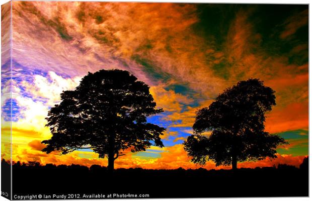 Two tree silhouette Canvas Print by Ian Purdy
