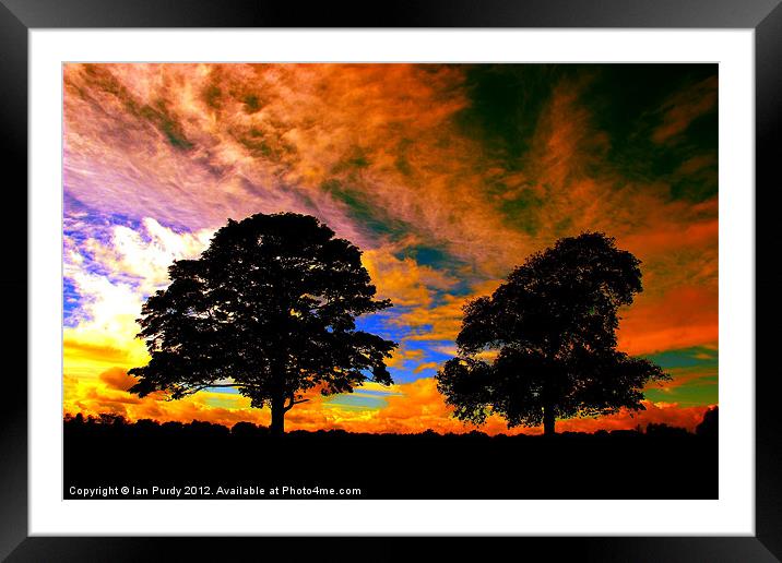 Two tree silhouette Framed Mounted Print by Ian Purdy