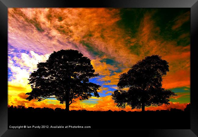 Two tree silhouette Framed Print by Ian Purdy
