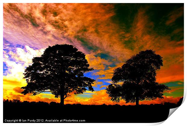 Two tree silhouette Print by Ian Purdy