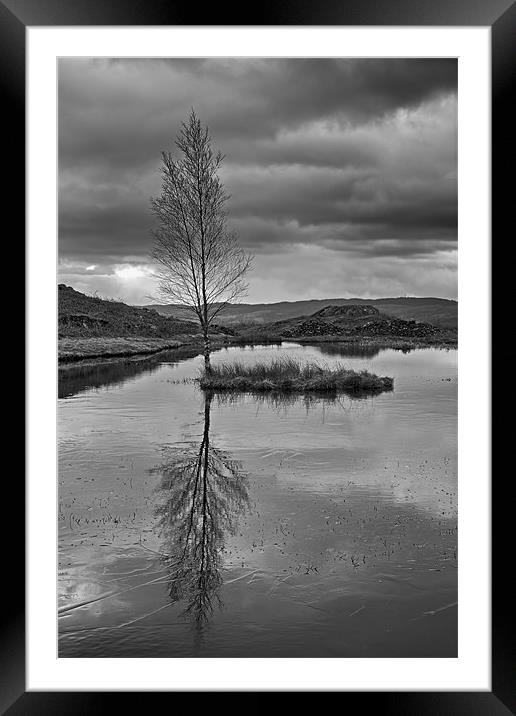 Iced Lily Tarn Framed Mounted Print by Roger Green