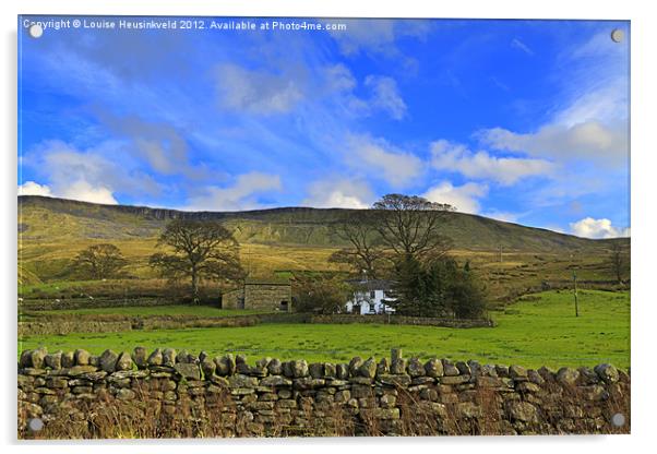 Mallerstang Dale, looking east to Mallerstang Edge Acrylic by Louise Heusinkveld