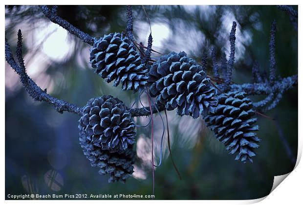 Pine Cones Print by Beach Bum Pics