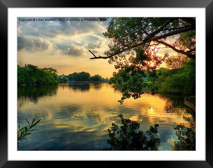 Sunset at the Park. Framed Mounted Print by Lilian Marshall