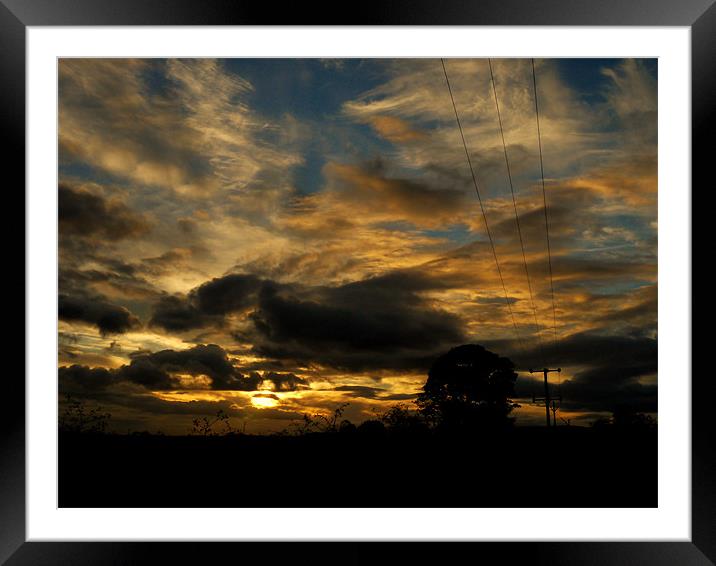 The way home Framed Mounted Print by David Ingram