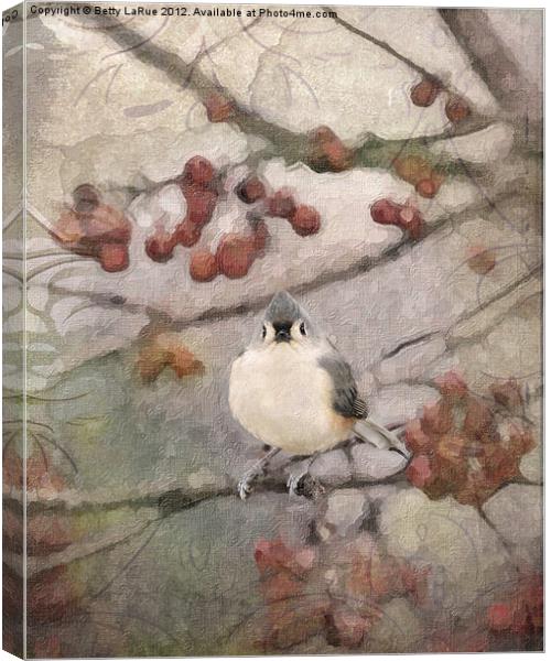 Tufted Titmouse in Crabapple Tree Canvas Print by Betty LaRue