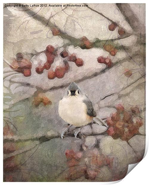 Tufted Titmouse in Crabapple Tree Print by Betty LaRue