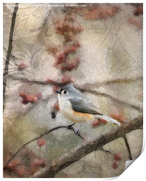 Tufted Titmouse in Crabapple Tree 2 Print by Betty LaRue