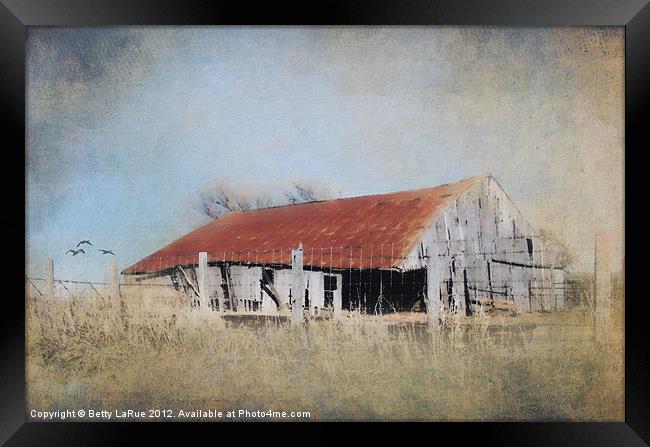 Impressionistic Old Barn Framed Print by Betty LaRue