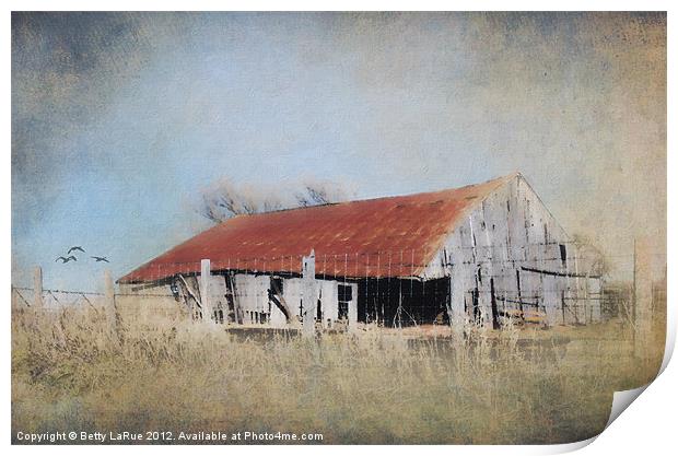 Impressionistic Old Barn Print by Betty LaRue