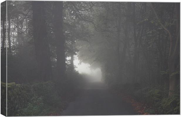 Morning Mist Autumn Lane Canvas Print by Darren Watkinson