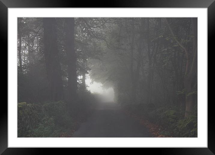 Morning Mist Autumn Lane Framed Mounted Print by Darren Watkinson