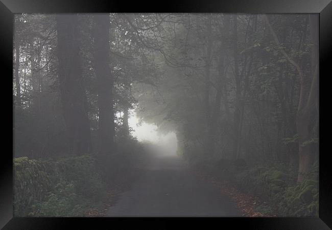 Morning Mist Autumn Lane Framed Print by Darren Watkinson