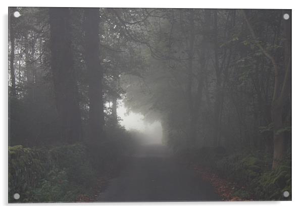 Morning Mist Autumn Lane Acrylic by Darren Watkinson