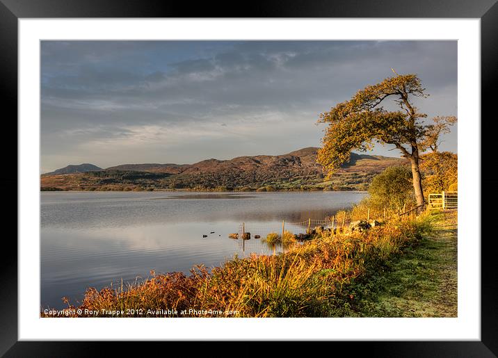 Edge of the lake Framed Mounted Print by Rory Trappe