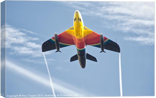 Miss Demeanour Canvas Print by Rory Trappe
