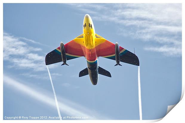 Miss Demeanour Print by Rory Trappe