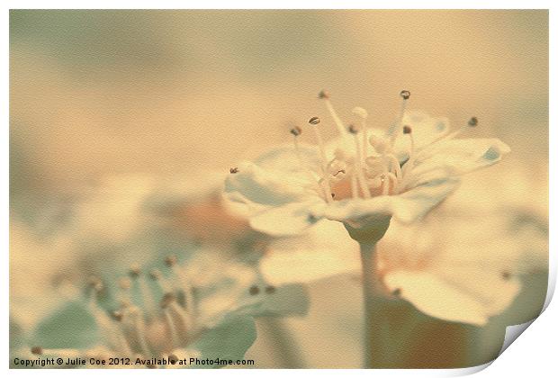 Spiraea Bush Flower Print by Julie Coe