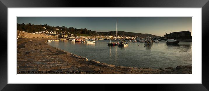 lyme harbour Framed Mounted Print by Daniel Bristow