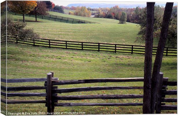 Fields and Fences Canvas Print by Eva Kato