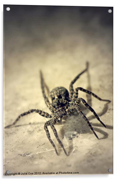 Wolf Spider Acrylic by Julie Coe