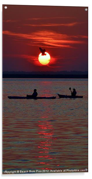 Heron & Kayakers Sunset Acrylic by Beach Bum Pics