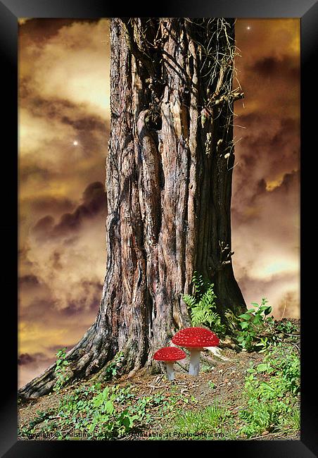 Woodland Fantasy Framed Print by Christine Lake