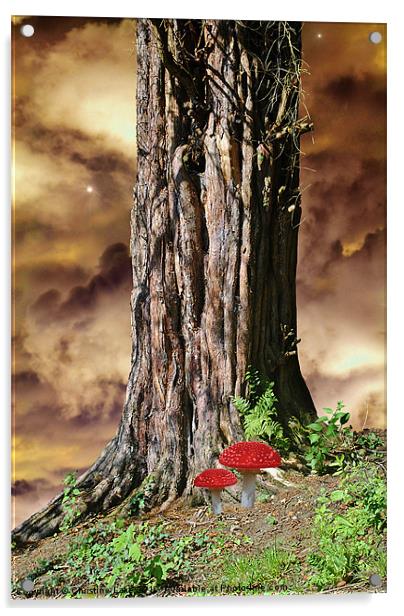 Woodland Fantasy Acrylic by Christine Lake