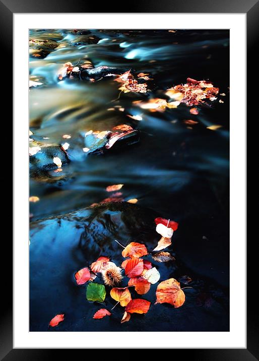 leaves in the Stream Framed Mounted Print by Chris Manfield