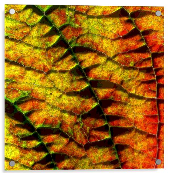abstract autumn leaf Acrylic by Heather Newton
