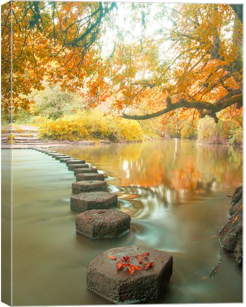 Box Hill Stepping Stones Canvas Print by Clive Eariss
