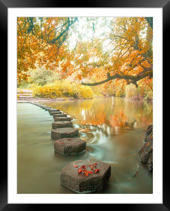 Box Hill Stepping Stones Framed Mounted Print by Clive Eariss
