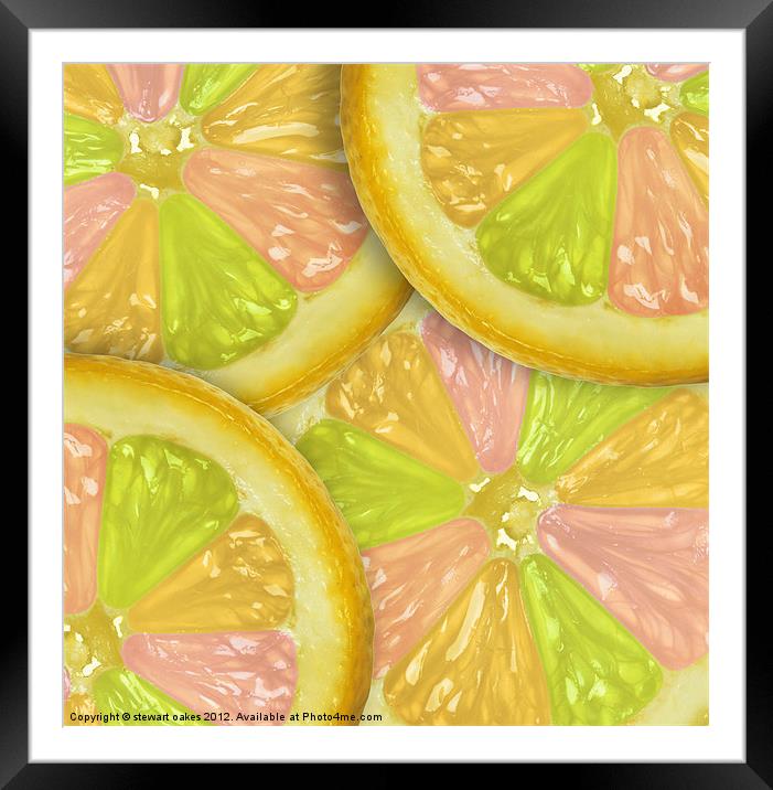 life is a lemon collection 3 Framed Mounted Print by stewart oakes