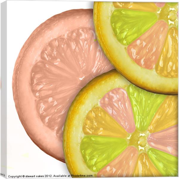 life is a lemon collection 4 Canvas Print by stewart oakes