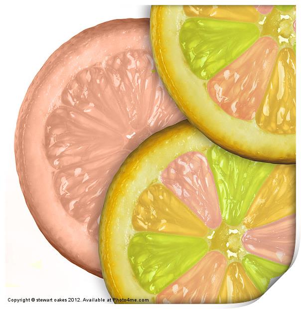 life is a lemon collection 4 Print by stewart oakes