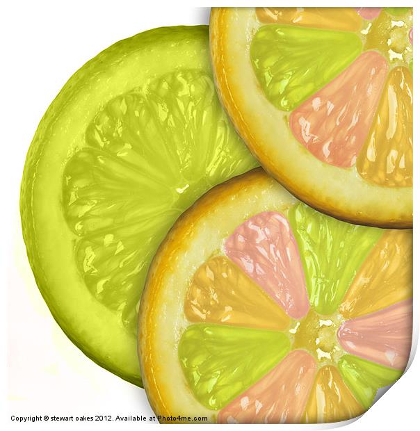 life is a lemon collection 5 Print by stewart oakes