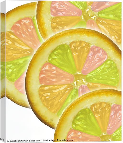 life is a lemon collection 7 Canvas Print by stewart oakes