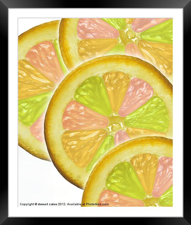 life is a lemon collection 7 Framed Mounted Print by stewart oakes