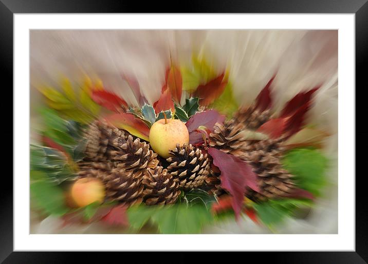 autumnal Framed Mounted Print by sue davies