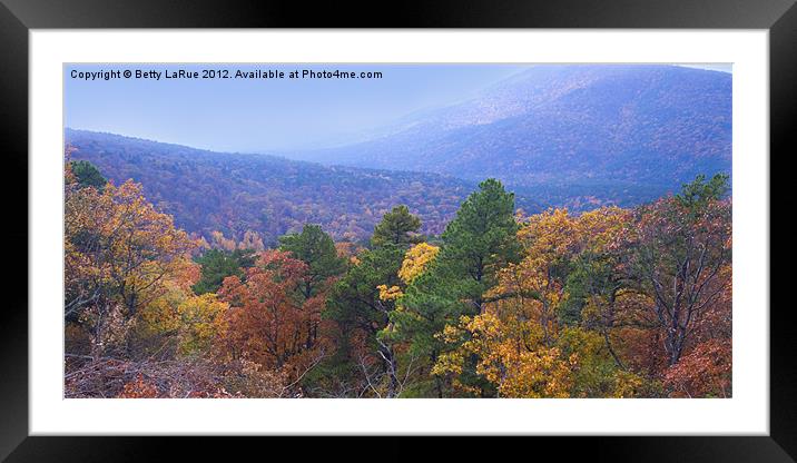 Autumn View Framed Mounted Print by Betty LaRue