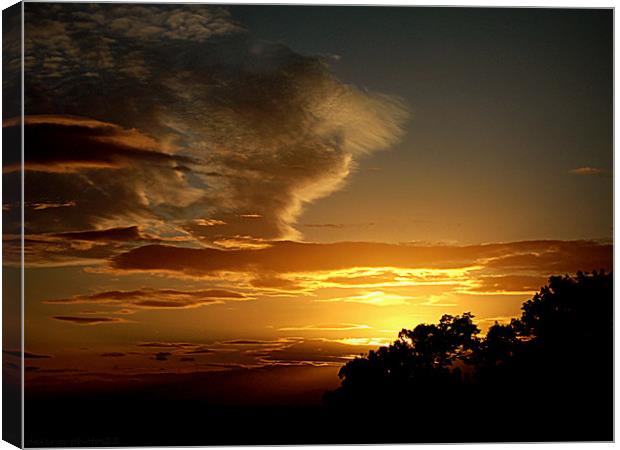 SUNSET OVER TREES Canvas Print by dale rys (LP)