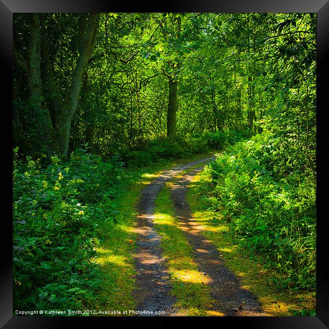 Path through the woods Framed Print by Kathleen Smith (kbhsphoto)