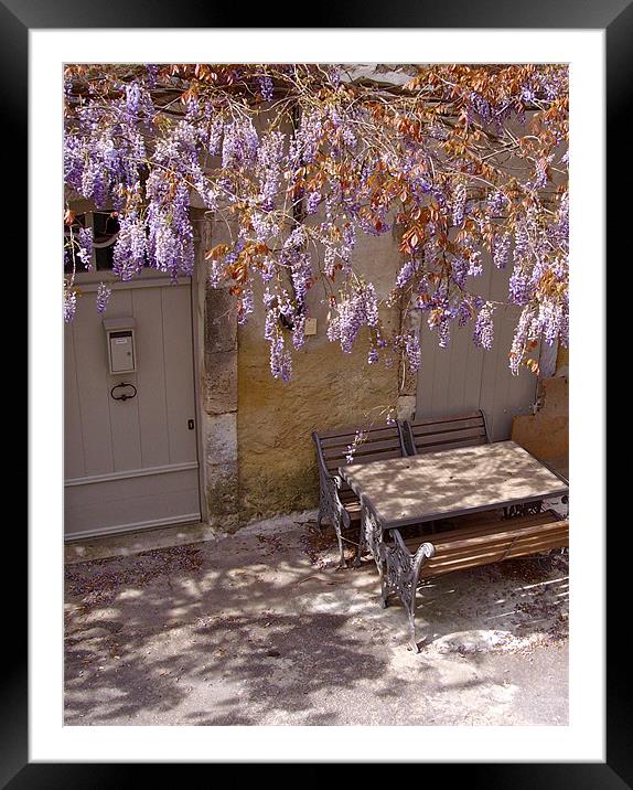 Provencal Wisteria Framed Mounted Print by Benoit Charon