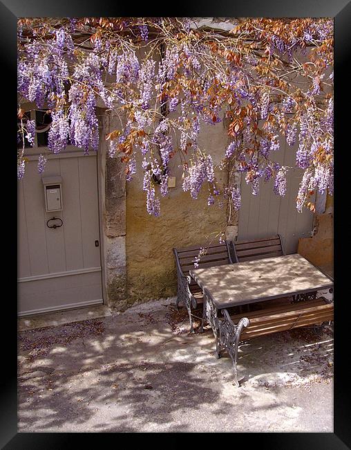 Provencal Wisteria Framed Print by Benoit Charon